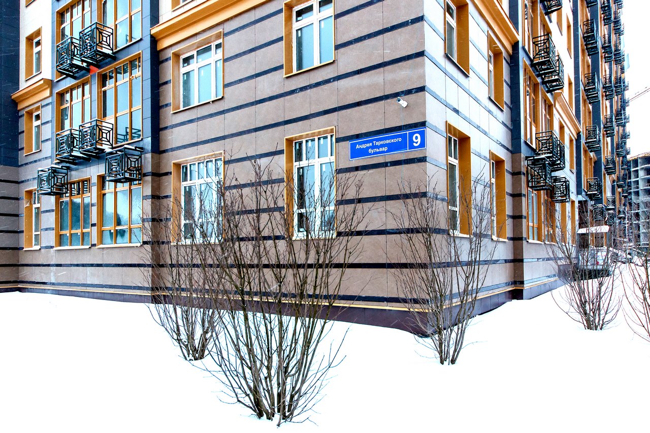 Фоновое изображение