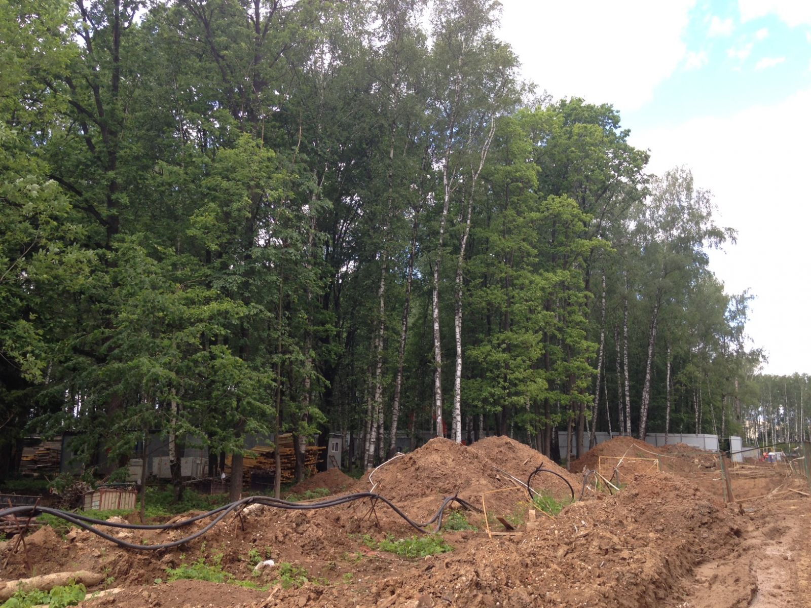 Фоновое изображение