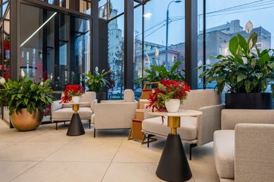 Фоновое изображение