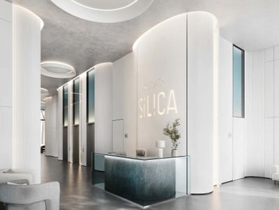 Силика лобби